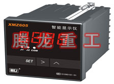 溫度表、數(shù)字顯示儀、濕度表